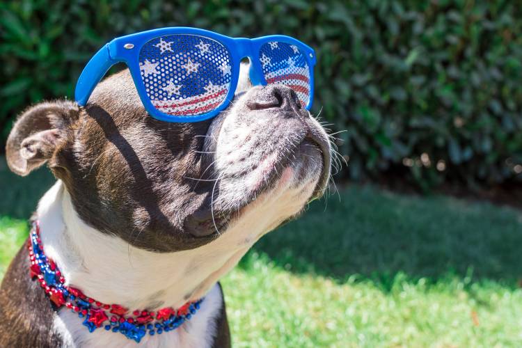 Orlando Florida 4th of July Events for 2025