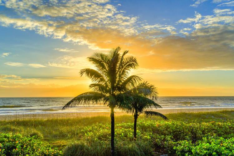 Beach Near Disney World