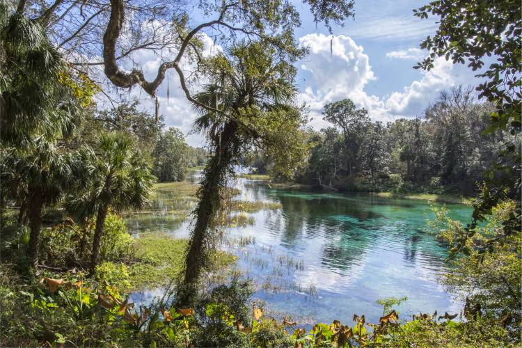 Rainbow Spring in Florida