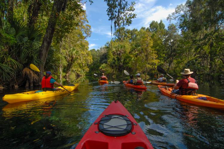 Kayaking Springs Orlando