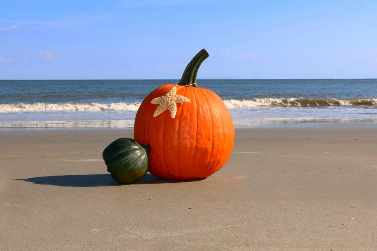 Pumpkin on Beach