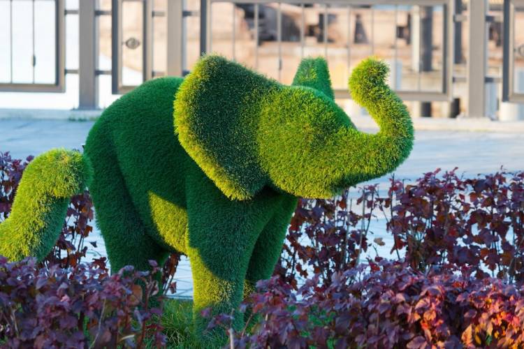 A bush in the shape of an elephant