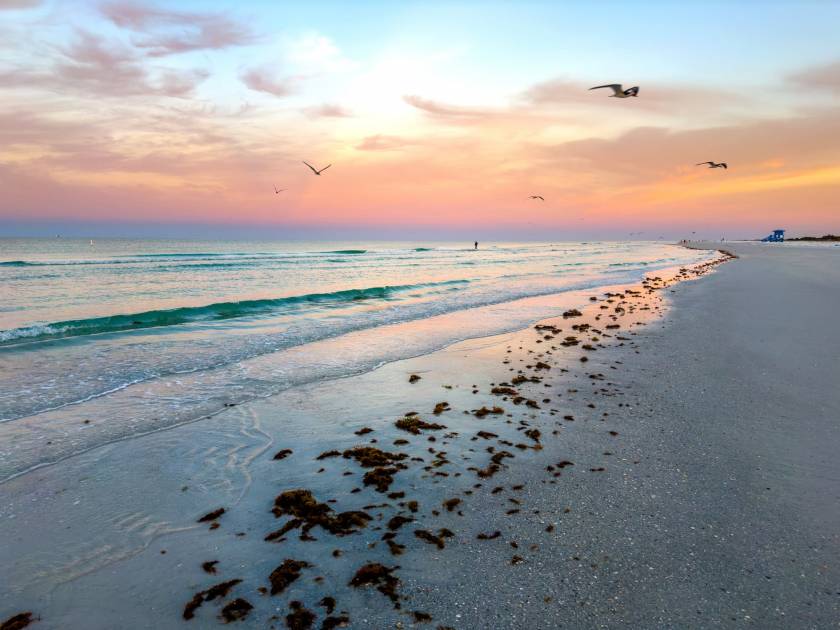 Siesta Key