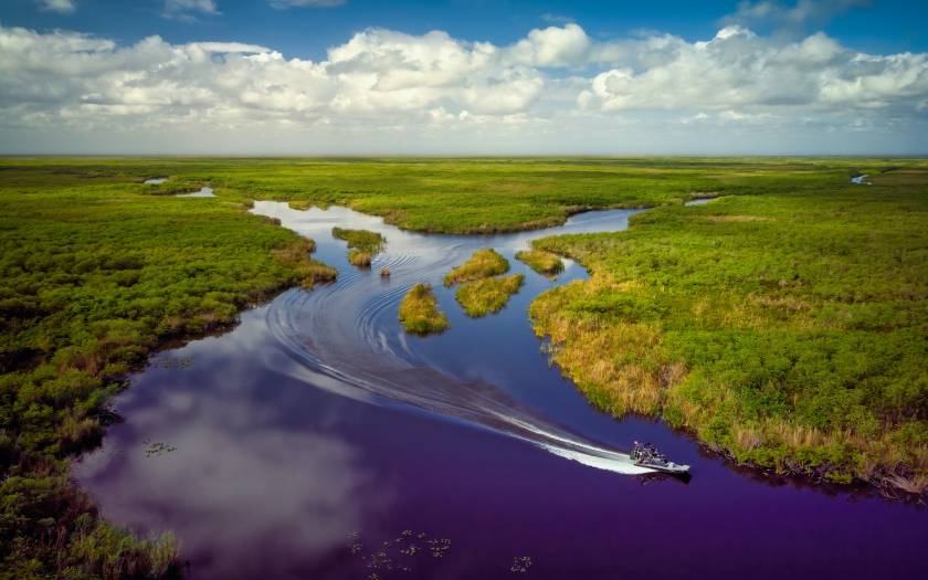 Airboat tour Florida