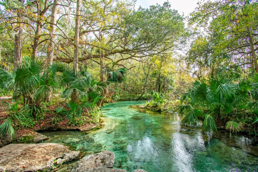 The best springs and beaches within driving distance of Orlando, Orlando