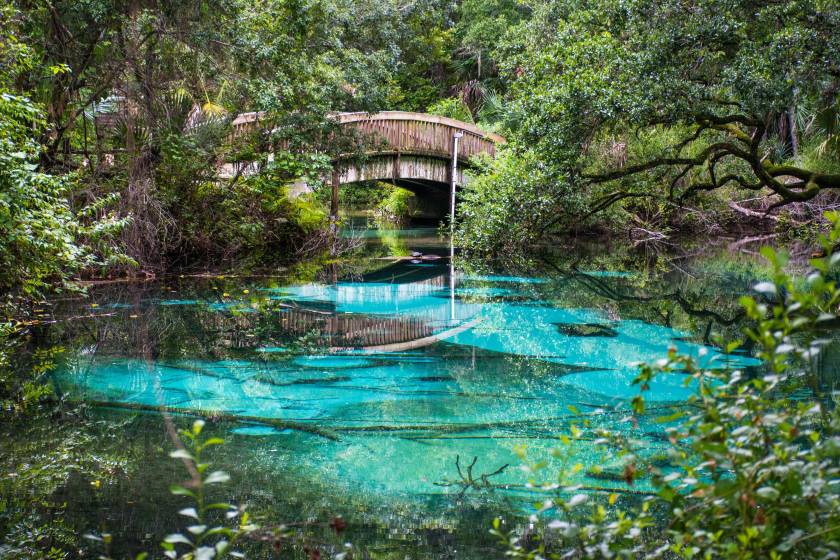 juniper springs